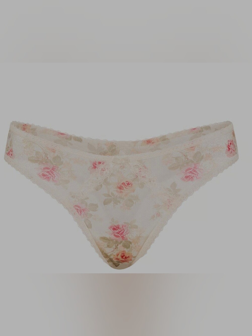 Victorias Secret Dream Angel Sheer Shimmer Lace Trim Brazillian Panty